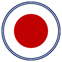 Judo Superar Sticker by Instituto Ação e Reação