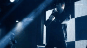 viceland GIF by What Would Diplo Do?