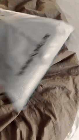 BossmenPakistan giphyupload GIF