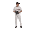 Throw Sticker by Kiwoom Heroes Baseball Club
