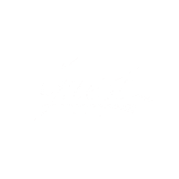 Party Festa Sticker by Guest Brasil