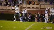 football athletics GIF by GreenWave