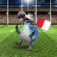 Sydney Swans Afl GIF by Dodo Australia