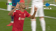 Happy Premier League GIF by MolaTV
