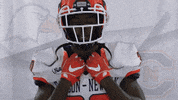 Carson Newman Football GIF by Carson-Newman Athletics