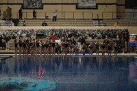 The Valley Win GIF by Missouri Valley Conference