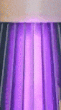 gif de giphygifmaker