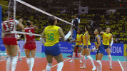 Happy Joy GIF by Volleyball World