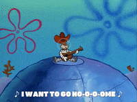 season 1 texas GIF by SpongeBob SquarePants