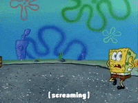 season 1 texas GIF by SpongeBob SquarePants