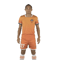 Fc Goa Sticker by Indian Super League