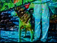 bad boy dog GIF by MFD