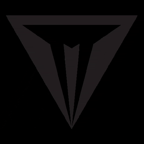CasperTurkey game gaming power gamer GIF