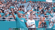 Miami Dolphins Football GIF by NFL