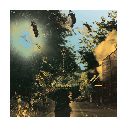 R2Records giphyupload giphythatsgonnabeanofrommedawg japan hiphop Sticker