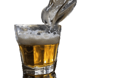 Beer Pub Sticker by Carmel Food Tours