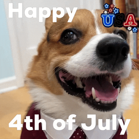 Happy 4Th Of July GIF
