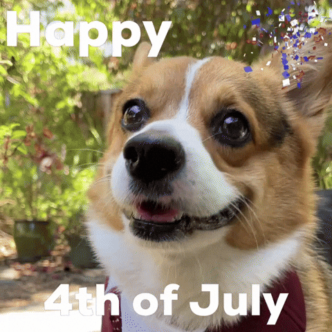 Happy 4Th Of July GIF