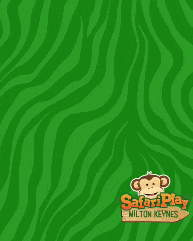 safariplay birthday party soft play milton keynes kids party uk GIF