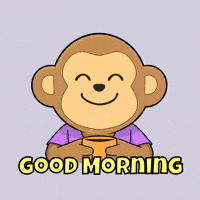 Happy Coffee GIF by Wise Monkey Meme
