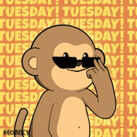 Good Morning Coffee GIF by Wise Monkey Meme