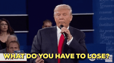 What Do You Have To Lose Donald Trump GIF by Election 2016
