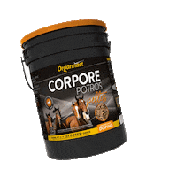 Corpore Sticker by Organnact Pet