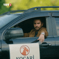 My Way Kindness GIF by TRT