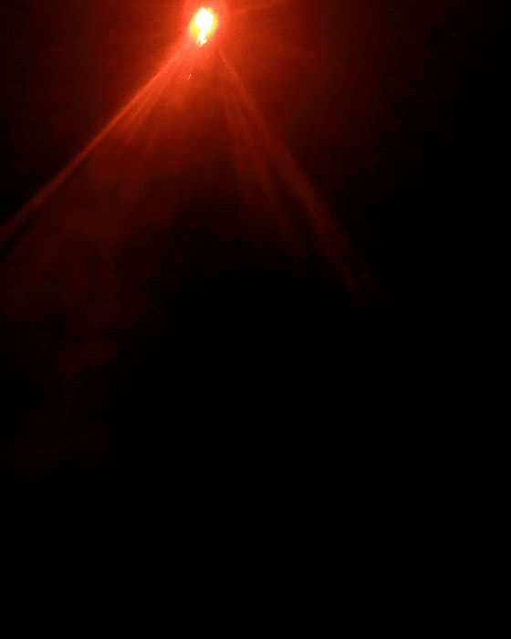 nicovuignier  GIF
