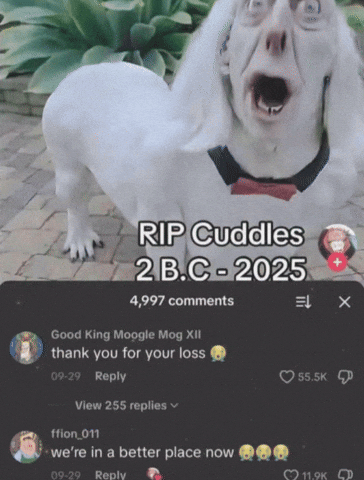 Alex Niche GIF