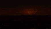 GIF by tomgalle
