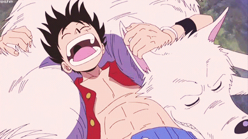 one piece i still dont remember why i have th GIF