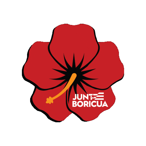Junte Boricua Sticker by Populicom