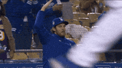 Regular Season Celebration GIF by MLB
