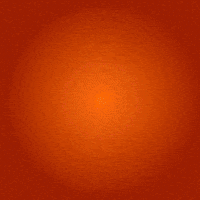New Year Fire GIF by birb