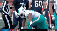 Miami Dolphins Football GIF by NFL