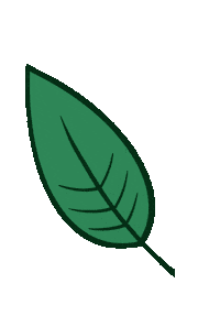 Climate Crisis Leaf Sticker by BVK Students Hannover