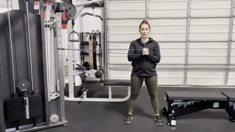 megsquats giphyupload GIF