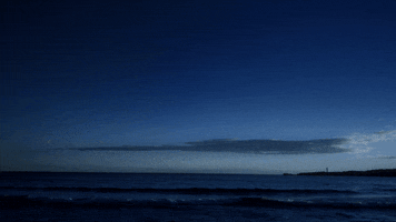 short film animation GIF by Partizan