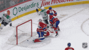 Dallas Stars Goal GIF by NHL