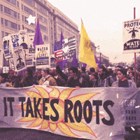 resistance yes GIF by Center for Story-based Strategy 