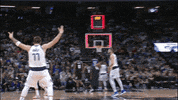 GIF by NBA