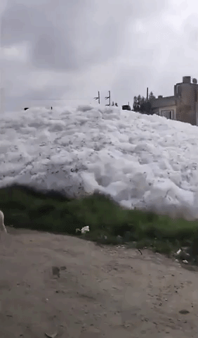 Polluted Foam Forms Along River