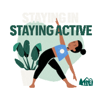 Yoga Stretching Sticker by REI