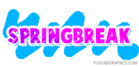 spring break Sticker