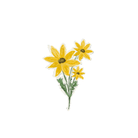 Flor Sticker by byflorecer