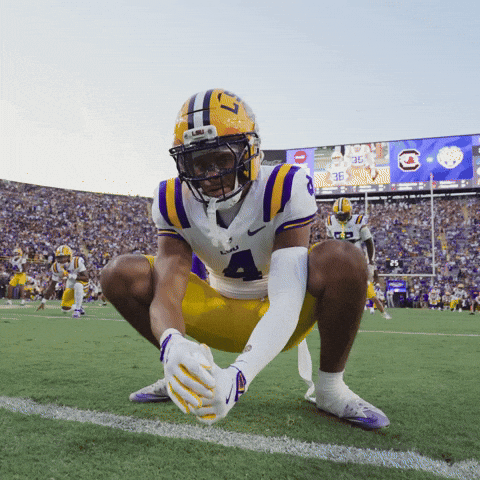 Lsu Football GIF by LSU Tigers