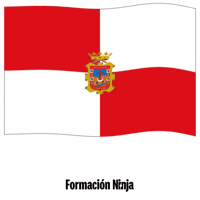 Bandera Andalucia GIF by Formación Ninja