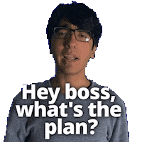 Whats Next Boss Sticker