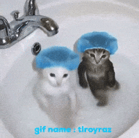 Tlroyraz GIF